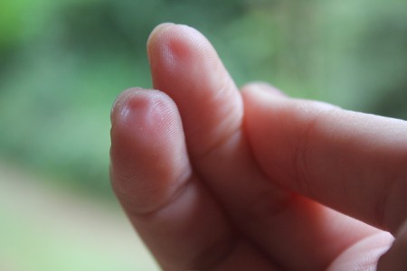 Arquivo:29 01 2013 00 37 41.jpg