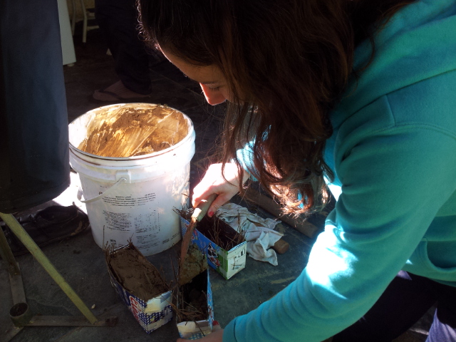 Arquivo:4 ana tijolos.jpg