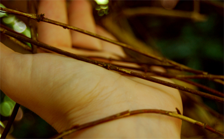 Arquivo:72dpi 90.jpg