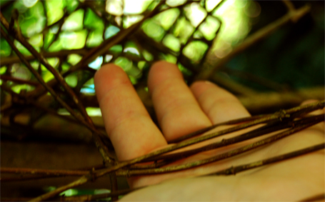 Arquivo:72dpi 91.jpg