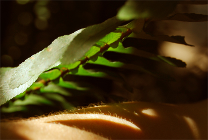 Arquivo:72dpi 95.jpg