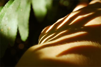 Arquivo:72dpi 96.jpg