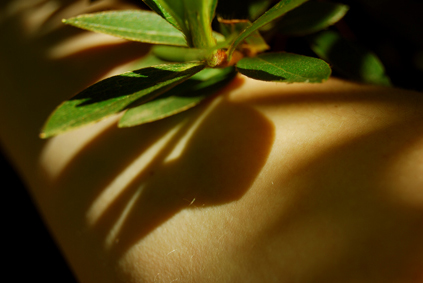 Arquivo:72dpi 97b.jpg