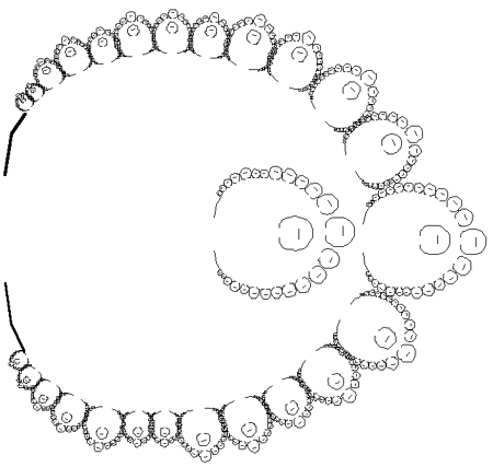 Arquivo:African fractal ba-Ila vill.gif