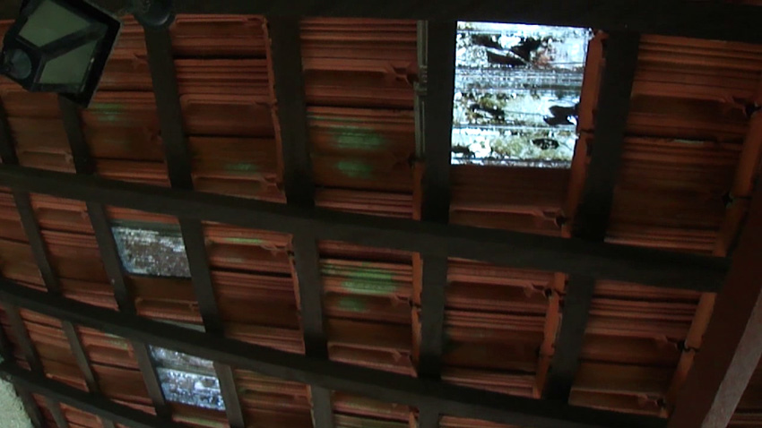 Alumbramento 2012 Tales-Bedeschi 1.jpg