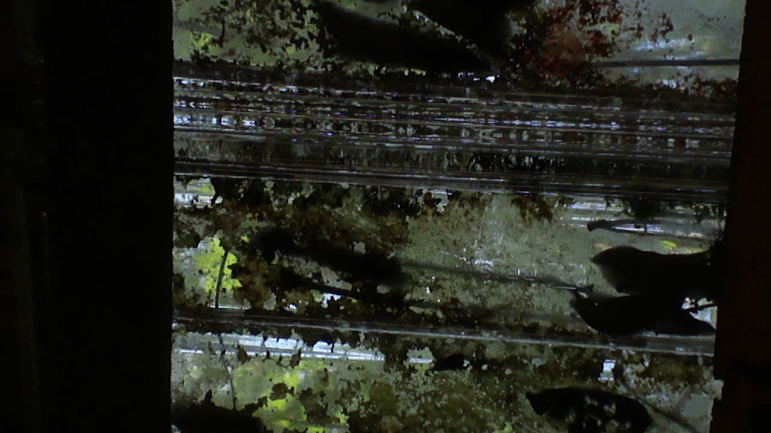 Alumbramento 2012 Tales-Bedeschi 2.jpg