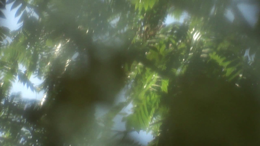 Alumbramento 2012 Tales-Bedeschi 3.jpg