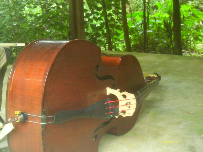 Contrabaixo2.JPG