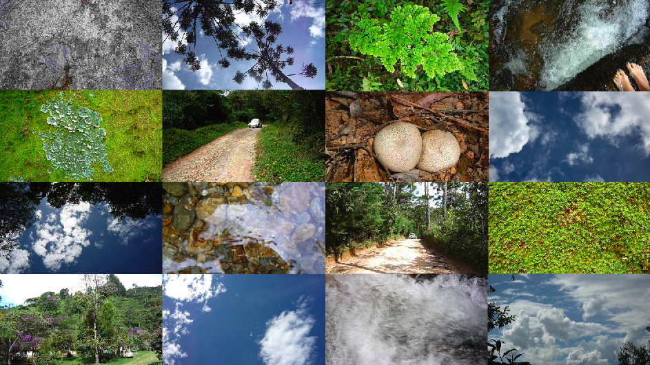 Dia do marimbondo.png