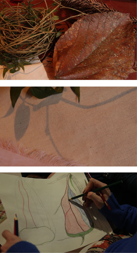 Figura2 primeiro dia nuvem psd.jpg