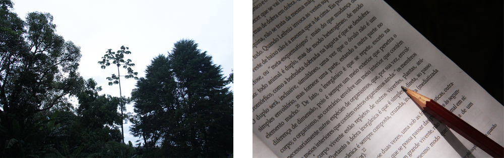 Figura 3 primeiro dia nuvem.jpg