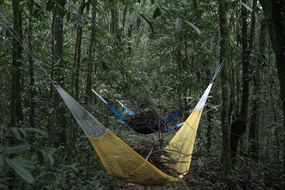 Fogueira38 menor.jpg