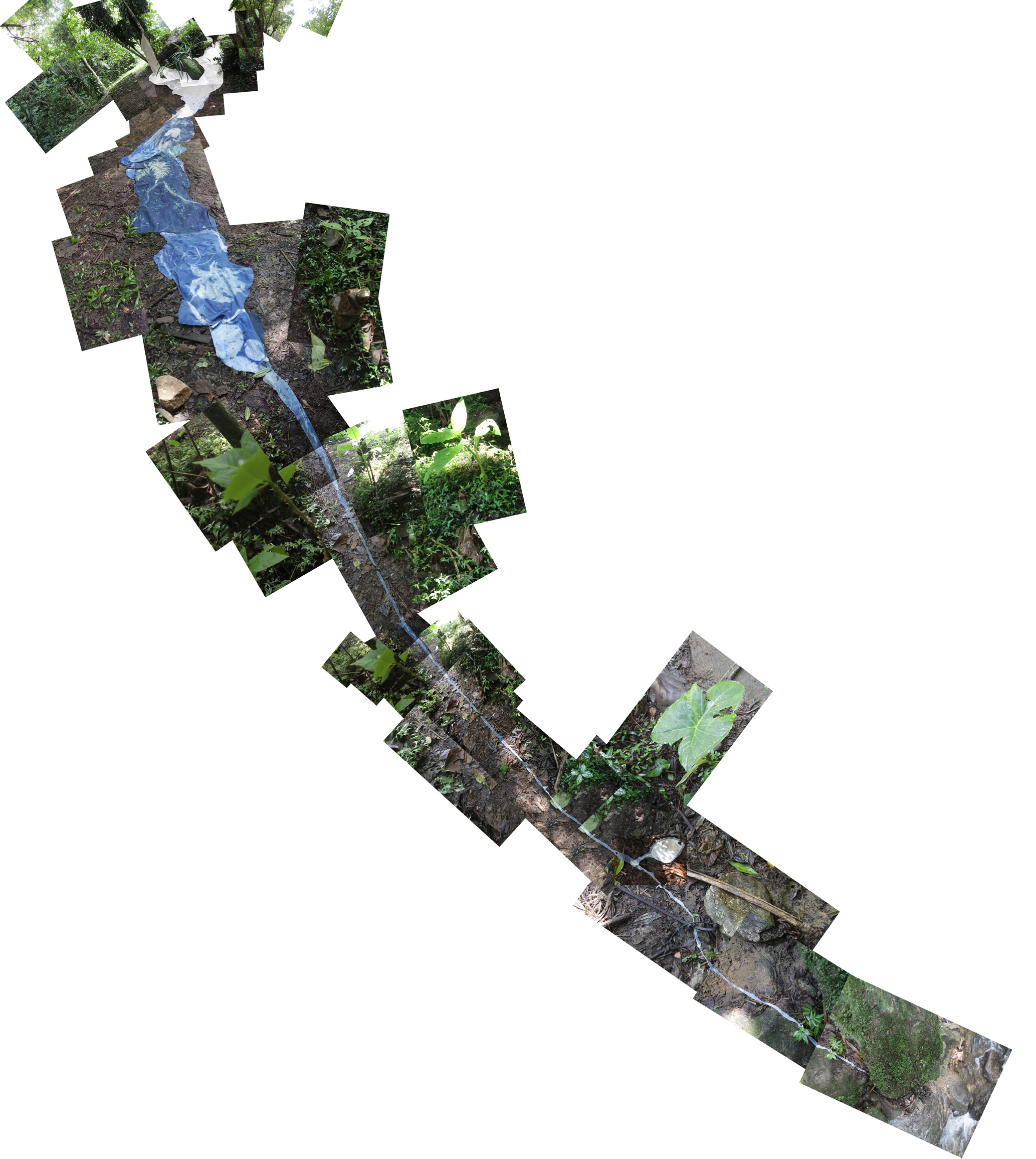 Fotomontagem tecidos vivos.jpg