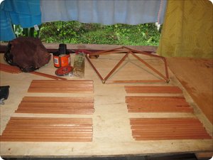 Hastes cortadas.jpeg