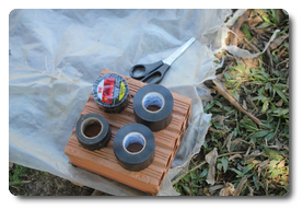 Arquivo:IMG 0345.png