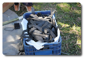 Arquivo:IMG 0347.png