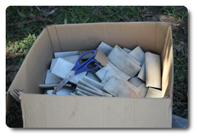 Arquivo:IMG 0348.png