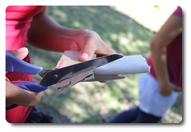 Arquivo:IMG 0355.png