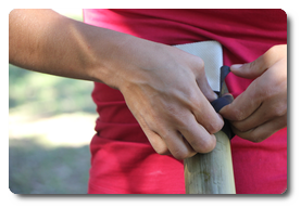 Arquivo:IMG 0366.png