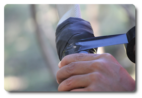 Arquivo:IMG 0379.png