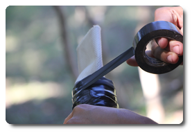 Arquivo:IMG 0382.png