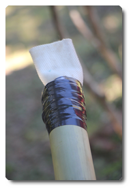 Arquivo:IMG 0391.png