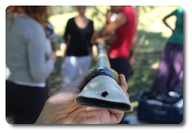 Arquivo:IMG 0402.png