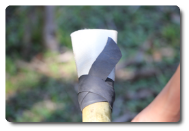 Arquivo:IMG 0409.png