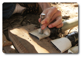 Arquivo:IMG 0457.png