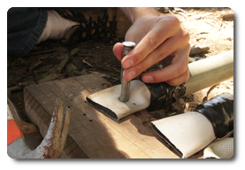 Arquivo:IMG 0458.png