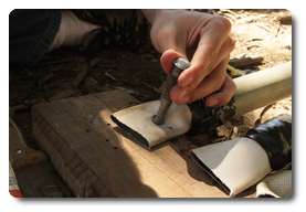 Arquivo:IMG 0459.png