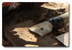 Arquivo:IMG 0461.png