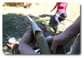 Arquivo:IMG 0479.png