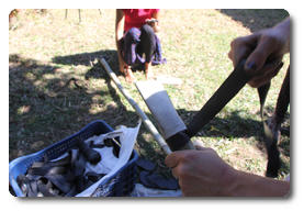 Arquivo:IMG 0488.png