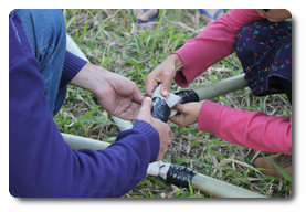 Arquivo:IMG 0510.png