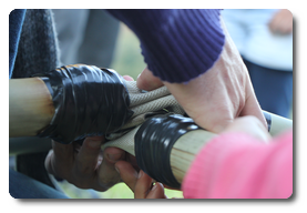 Arquivo:IMG 0516.png