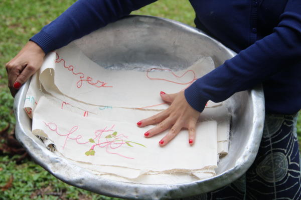 Arquivo:IMG 7362.jpg