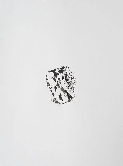 Arquivo:IMG 7523.jpg