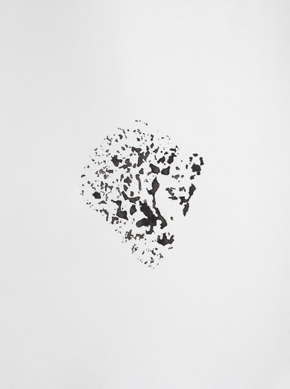 Arquivo:IMG 7525.jpg