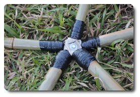 Arquivo:IMG 9239.png