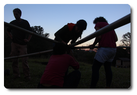 Arquivo:IMG 9245.png