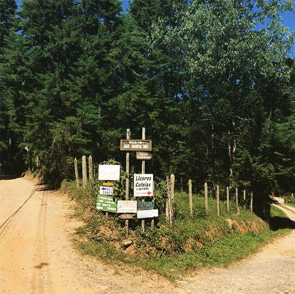 Janaina miranda bifurcacao.jpg