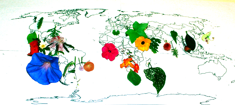 Jardins internacionais 2.jpg