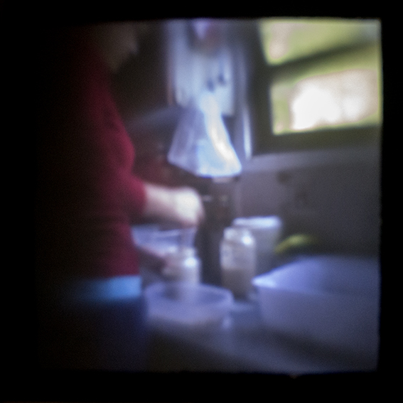 JoanaQuiroga web.jpg