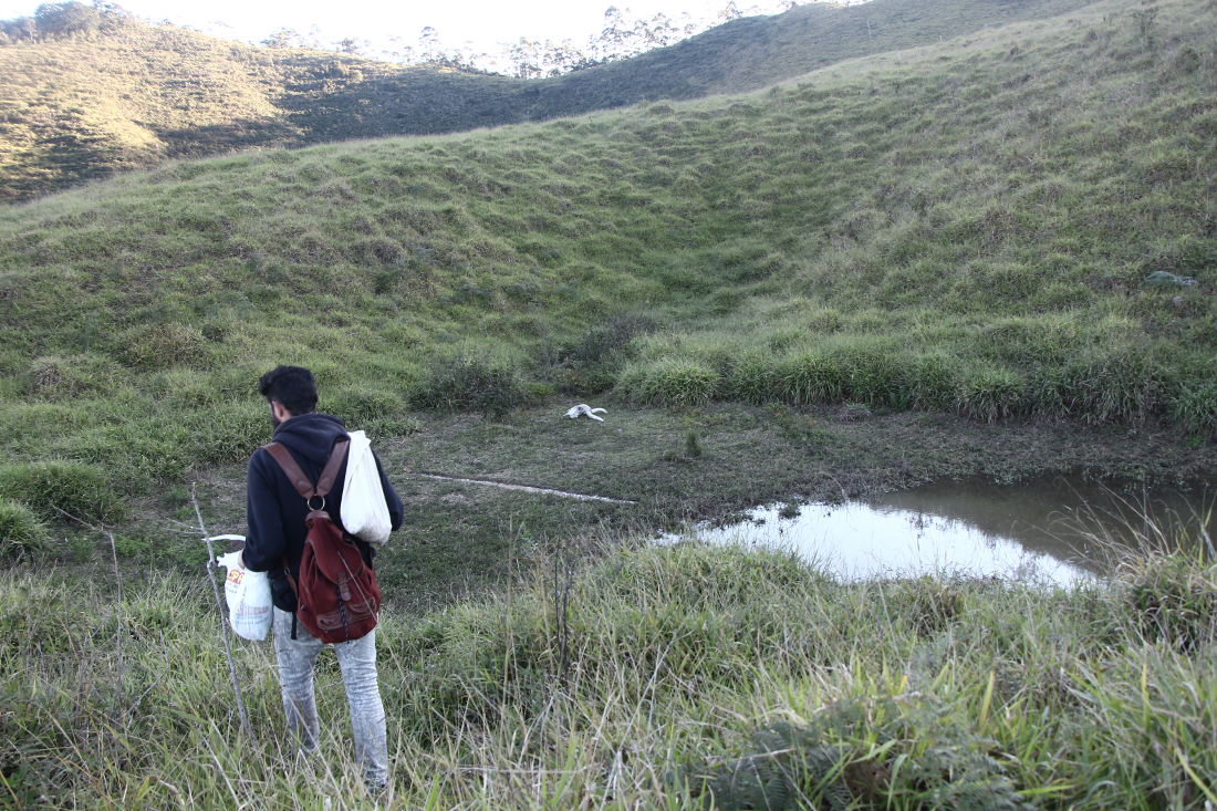 Linea de nazca 00.png