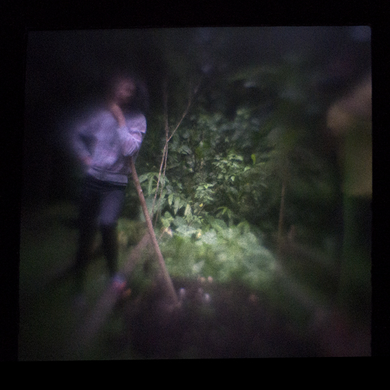 MichelleQueiroz VictorPacheco web.jpg