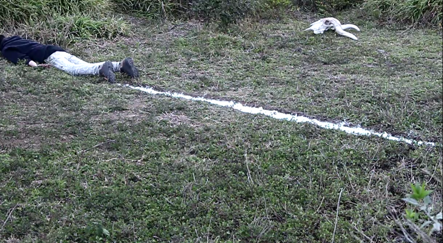 Muerte hippie inductiva1.png