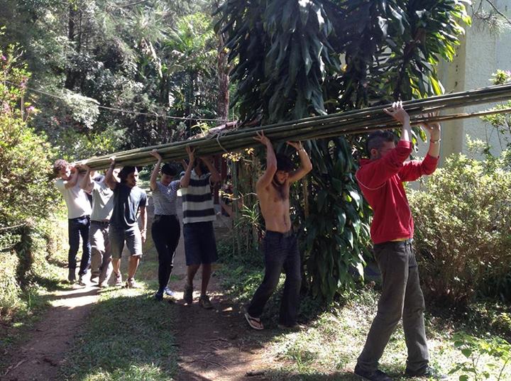 Arquivo:Mult bio.jpg