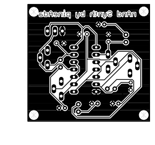 Nand synth pineada print.jpg