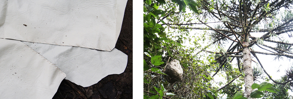 Negativo da superfície 3.jpg